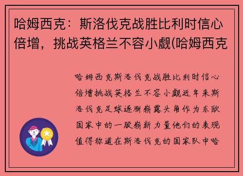 哈姆西克：斯洛伐克战胜比利时信心倍增，挑战英格兰不容小觑(哈姆西克简介)